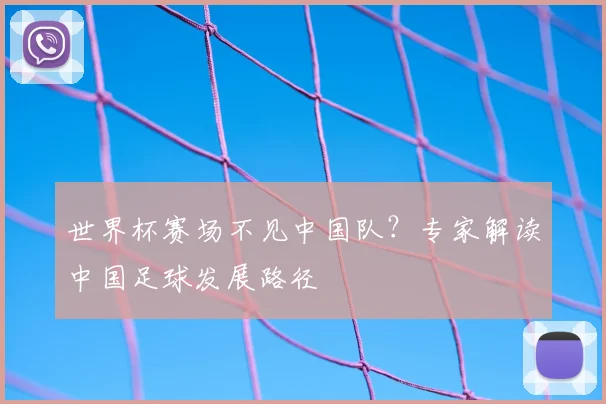 世界杯赛场不见中国队?专家解读中国足球发展路径