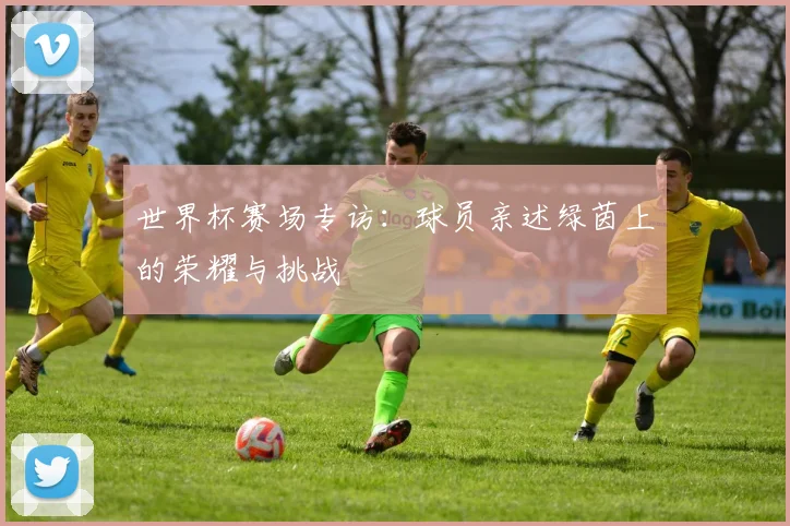 世界杯赛场专访:球员亲述绿茵上的荣耀与挑战