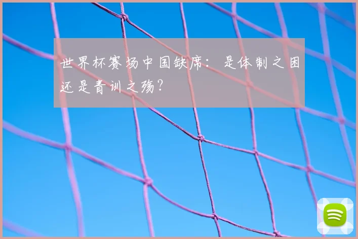 世界杯赛场中国缺席:是体制之困还是青训之殇?