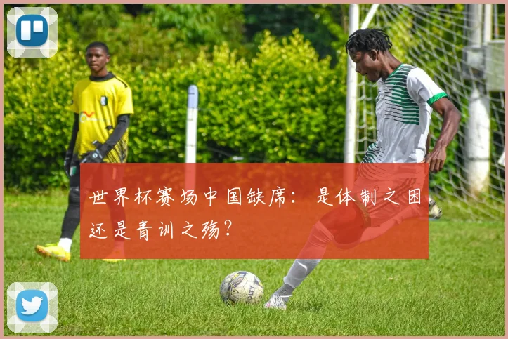 世界杯赛场中国缺席:是体制之困还是青训之殇?