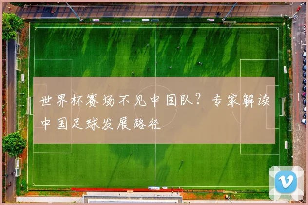 世界杯赛场不见中国队?专家解读中国足球发展路径
